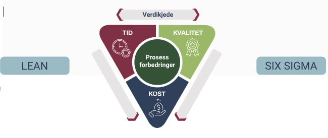 Viser verdikjede, tid kvalitet og kost